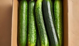 新黄瓜最新爆料图片视频,高清图视频揭秘独特魅力