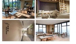 cfm回力活动最新爆料,全新爆料揭秘，精彩不容错过！