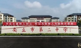 安丘最新爆料消息视频,视频揭秘惊人内幕