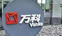 武汉万科爆料最新消息新闻,揭秘项目进展与未来规划