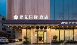 湛江大酒店爆料案件最新,揭开神秘事件的真相面纱