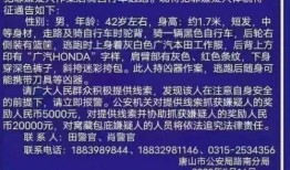 天津爆料唐山案件最新,真相与反思交织的黑色风暴