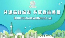 广州爆料新闻头条今天最新消息,突发事件引发全城关注