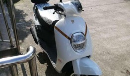 豪爵萌妹最新爆料视频播放,揭秘幕后精彩瞬间