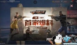 cf职场最新爆料大全,揭秘行业动态与职场风云