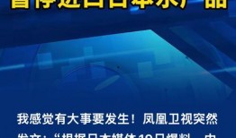 东北最新爆料新闻,揭秘神秘事件背后的真相！”