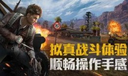 和平精英26季爆料最新,全新爆料，揭秘神秘新内容与玩法升级