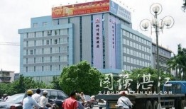 湛江大酒店爆料案件最新,揭开神秘事件的真相面纱