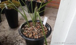 唐竹最新爆料,揭秘娱乐圈惊人内幕