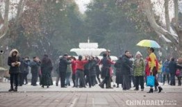 郑州一中爆料新闻事件最新,揭秘校园事件背后的真相与反思