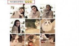 李晨邓超最新爆料视频,揭秘娱乐圈幕后真相