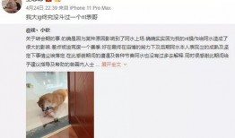 虎扑爆料在哪里找啊最新,揭秘最新热点，一网打尽全网资讯