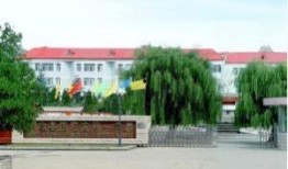 昌黎一中爆料最新消息,揭秘校园风云事件背后的真相