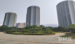 鹏城海对面最新爆料,揭秘神秘事件背后真相