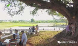 恩桥创美爆料最新消息,揭秘行业动态，引领潮流趋势