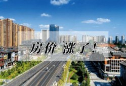 乐山楼市爆料最新消息新闻,揭秘新政策及热门项目动态