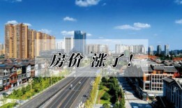乐山楼市爆料最新消息新闻,揭秘新政策及热门项目动态